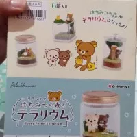 Terrarium Rilakuma teddy bear sanrio x san san wawa set 6 terarium