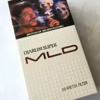 Djarum MLD Filter 20