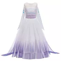 dress disney elsa frozen 2 gown snow olaf anna elsa purple blue import