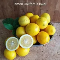 lemon California lokal / jeruk lemon