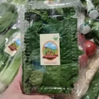 Basil Italian Organik || 100gr || Sayuran Organik