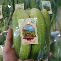 Timun Lokal Organik || 500gr || Cucumber