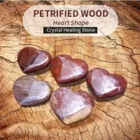 Petrified Wood Heart Shape Crystal Healing Stone (BC141)