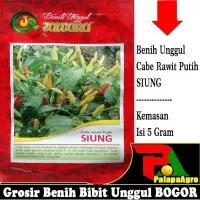 Benih/Bibit Cabe Rawit Putih SIUNG 5gram