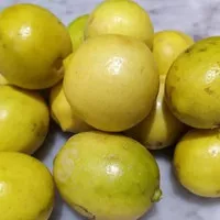 Lemon Local Segar 1 kg