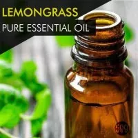 Lemongrass Oil / Minyak Sereh Dapur - 100% Pure Essential Oil - 5mL