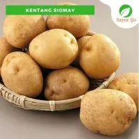 Kentang Siomay 1 Kg Kentang Kuning Fresh Potatoes Sayur Ijo Segar