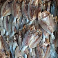 ikan asin belah / sangge belah 500 gr