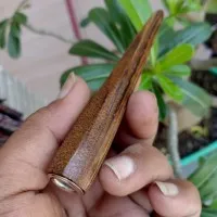 pipa cangklong KAYU GAHARU asli wangi panjang 10cm