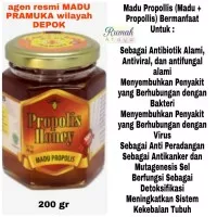 Madu Pramuka MADU PROPOLIS 200 Gr