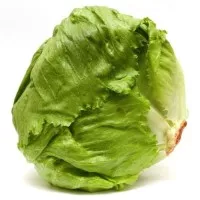 Lettuce Head lettuce ( selada bulat ) 1kg letus salada