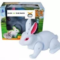 Mainan kelinci Rabbit Battery operated