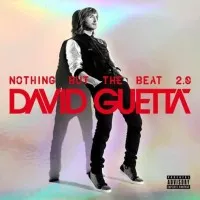 CD MUSIC DAVID GUETTA NOTHING BUT THE BEAT 2.0