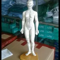 patung phantom boneka alat peraga akupuntur