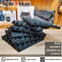 JRD Paket 6 pieces Busa Telur peredam suara acoustic foam 30x30x3 Cm