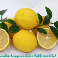 Lemon California lokal