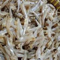 Ikan Teri Kacang/Teri Gepeng/Teri Pekto Asli Medan 250gr