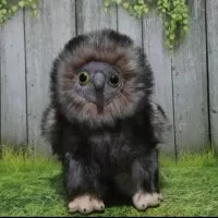 Boneka Burung Hantu Langka (Owl)