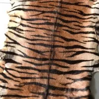 kulit leather bulu kambing motif harimau macan tiger
