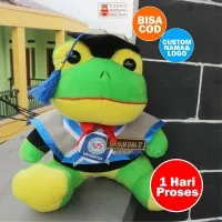 Boneka Wisuda Keropi | Hadiah Wisuda | Kado Wisuda Boneka Karopi