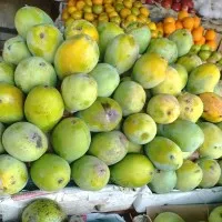 mangga harum manis 1 kg