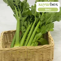Seledri Stick Conventional 1 kg (Sayurbox) - BALI