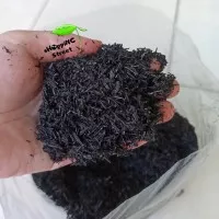 SEKAM BAKAR hitam 10 kg / Arang Sekam Padi - Media Tanam Gembur Porous