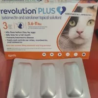 Revolution Cat plus 5.6-11lbs (2.5-5kg) obat kutu kucing 1 box