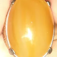 Batu Cincin Raflesia Kuning GOLKAR