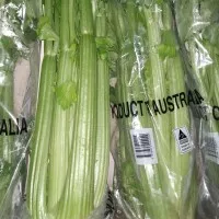Seledri stik / celery stick import Australia 1 kg grade A