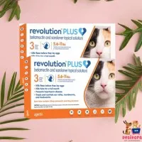 Revolution Plus Cat Orange 5.6 -11 Lbs Obat kutu Kucing