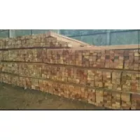 Kayu Kaso 4x6 / Kayu BORNEO SUPER / Kayu proyek Borneo / Kayu Iketan