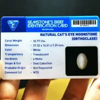 Natural Cat Eye Moonstone Srilanka Top Colour Plus Memo Big Size