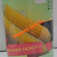 Bibit Jagung Manis Bonanza Now F1 1800 Butir