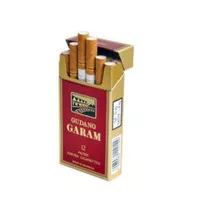 ROKOK GUDANG GARAM FILTER 12 - Garfit - Garpit - GP