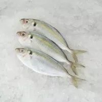 Ikan Selar