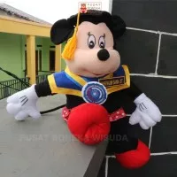 Boneka Wisuda Minnie Mouse | Hadiah Wisuda Boneka Mickey Mouse