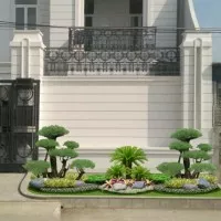 Taman Depan Rumah Taman Trotoar Bonsai Rumput