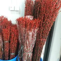 Pussy Willow Spray 1.8 mtr isi 10 batang RED