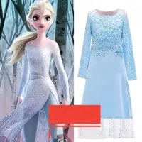 Dress Kostum Frozen 2 Elsa Setelan Gaun Princess Disney Cosplay