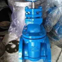 2 1/2 inch Gate valve Cast iron JIS10k