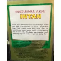 Benih Tomat Intan Raja Seed Benih Tomat Bibit Tomat Ayo Order