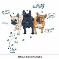 Wall Sticker / Stiker Dinding / Kaca: 3 Anjing Bulldog Lucu