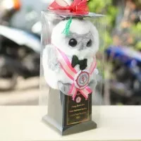 Piala Boneka Wisuda Owl + Box Mika Kado Wisuda