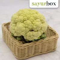 Kembang Kol / Cauliflower Value Bulk - 1 Kg (Sayurbox)