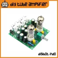 DIY Tube Amplifier