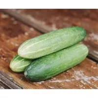 Organic Cucumber - Timun Organik - 250g