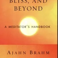 Mindfulness, Bliss, and Beyond: A Meditator`s Handbook