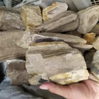 batu fosil kayu aquascape 1KG