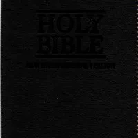 Buku, Alkitab 034 Ti Niv Compact Neuro Holy Bible Niv -Ori